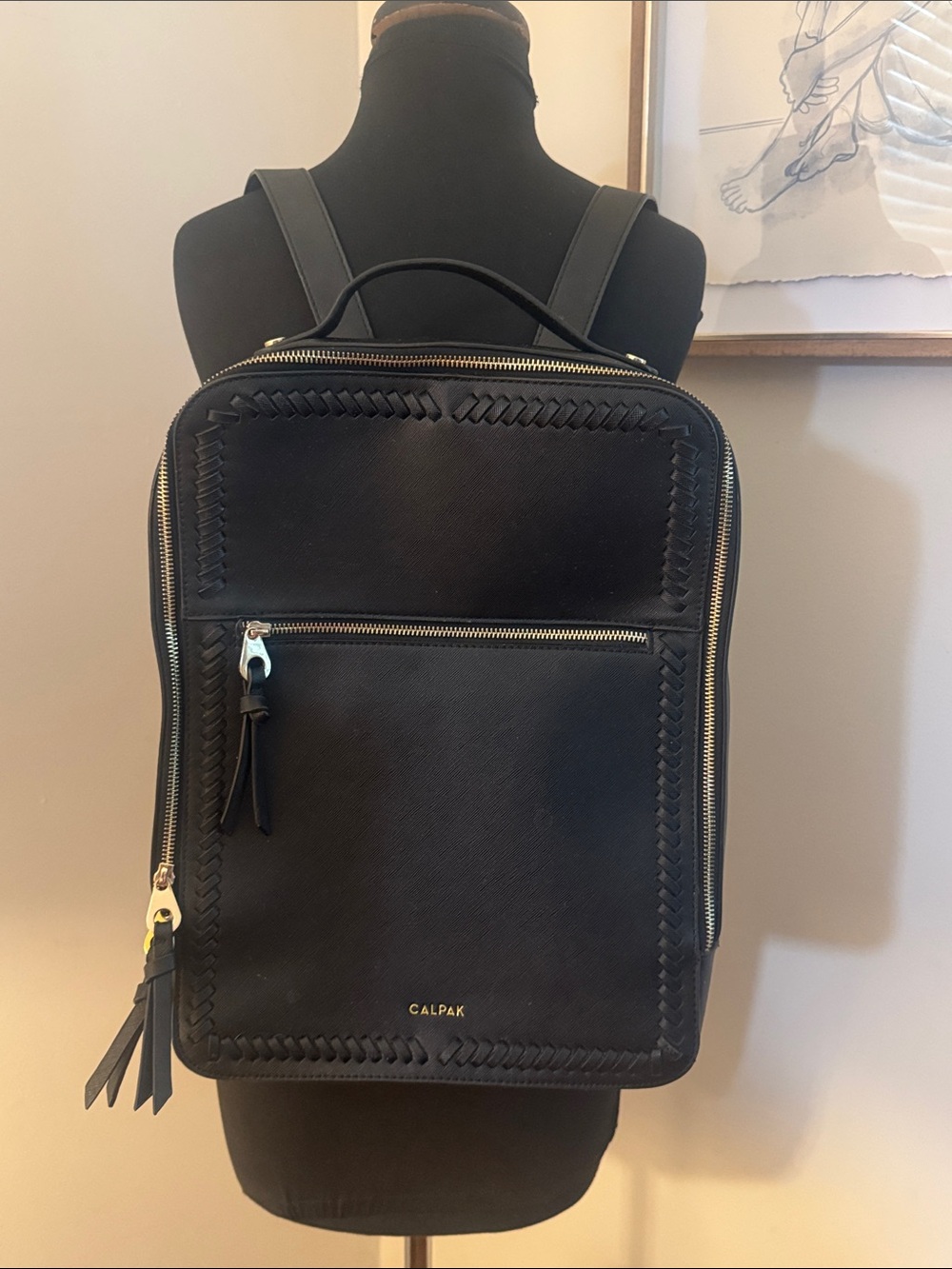 CALPAK | Black 15" laptop backpack